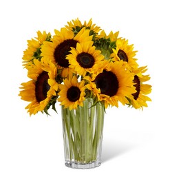 The FTD Golden Sunflower Bouquet by Vera Wang from Victor Mathis Florist in Louisville, KY